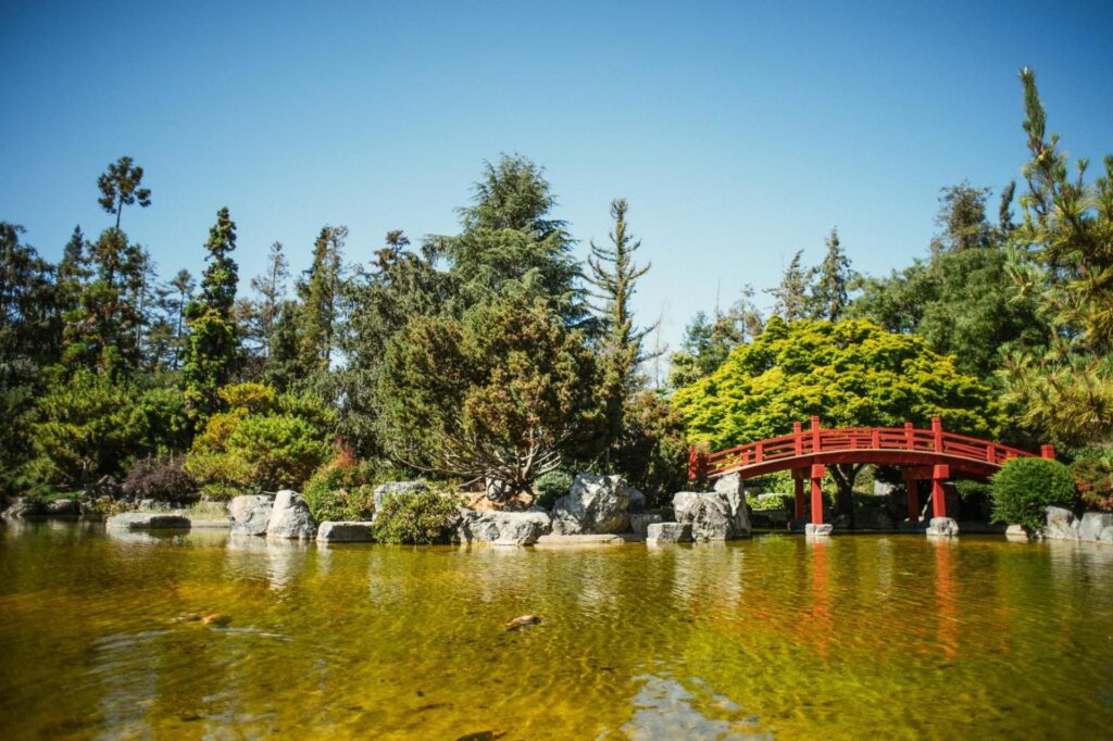 a red bridge over water in The Japanese Friendship Garden in san jose california