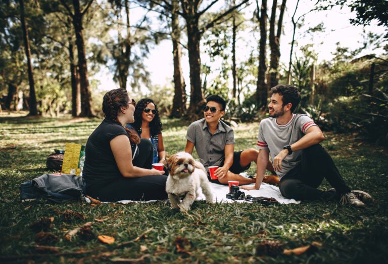 chatting dog faces 745045 scaled