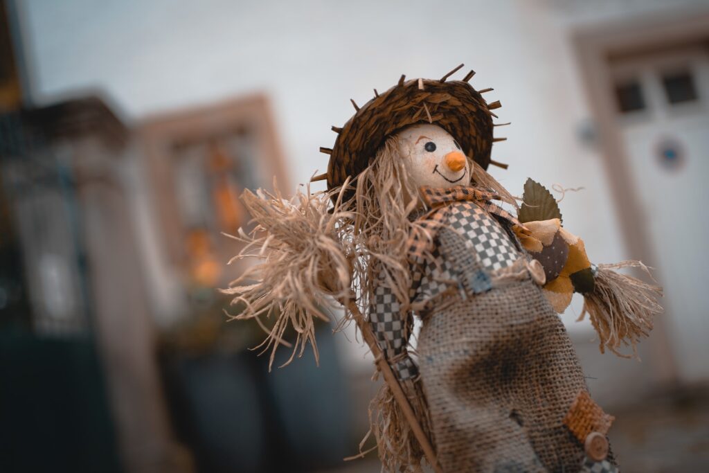 michel stockman 8QFE8zC2SSE unsplash building scarecrows as a fall team building activity