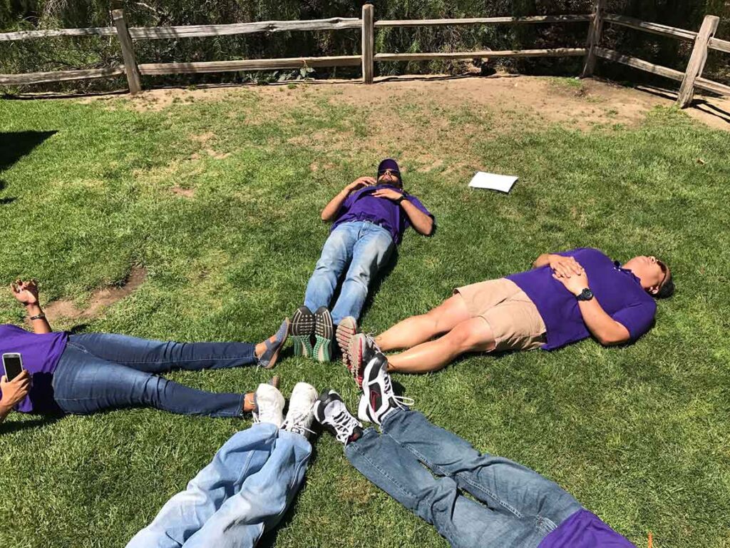 have a student picnic party and do team building